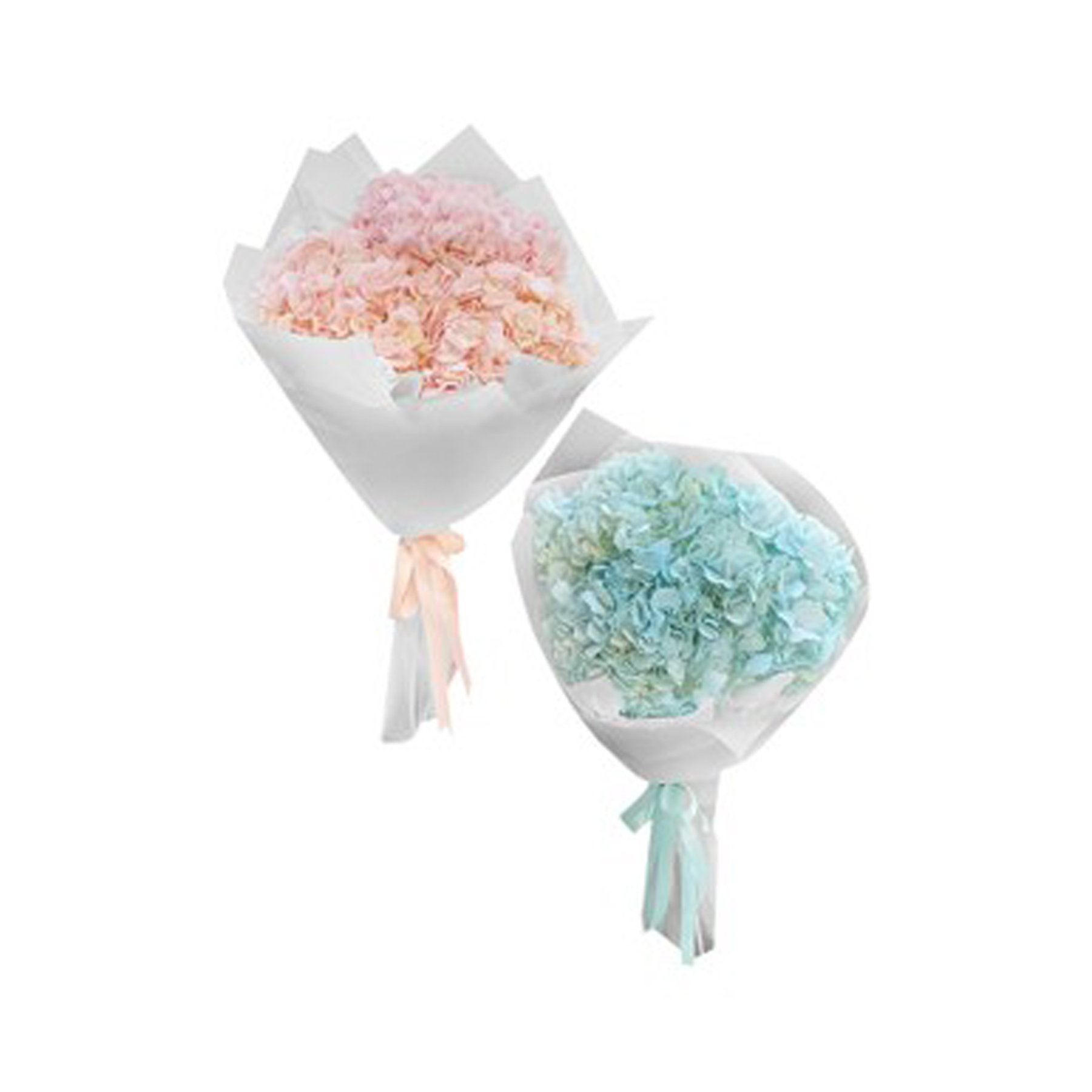 2 bouquet light blue & light pink hydrangea of 10