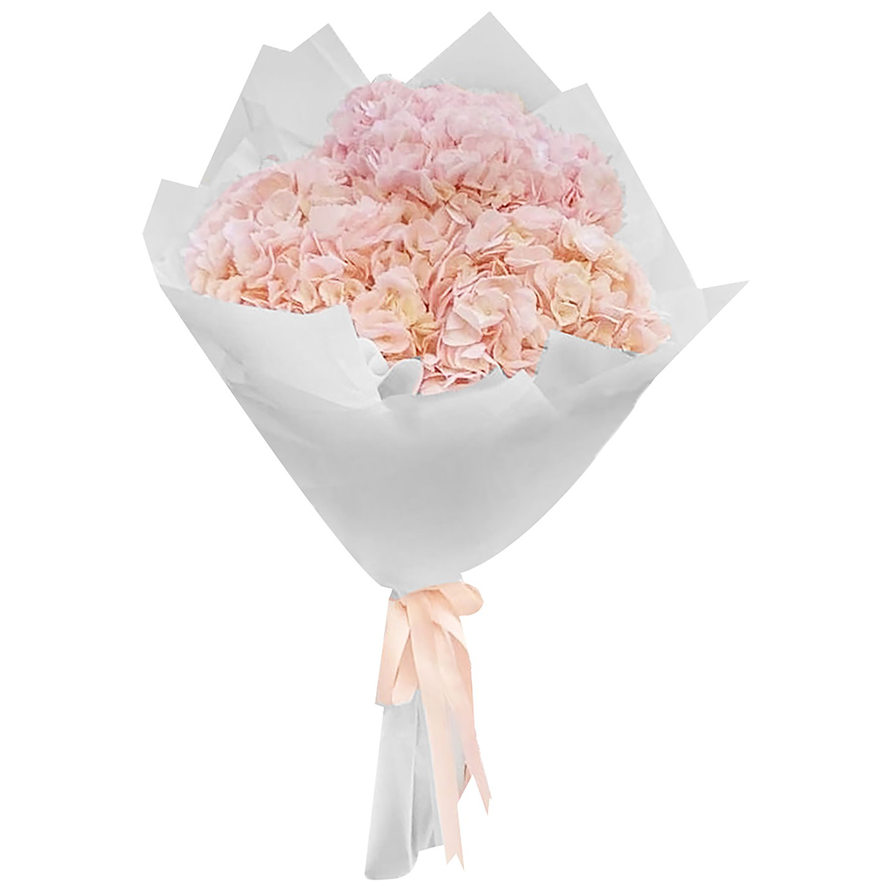 bouquet light pink hydrangea of 10