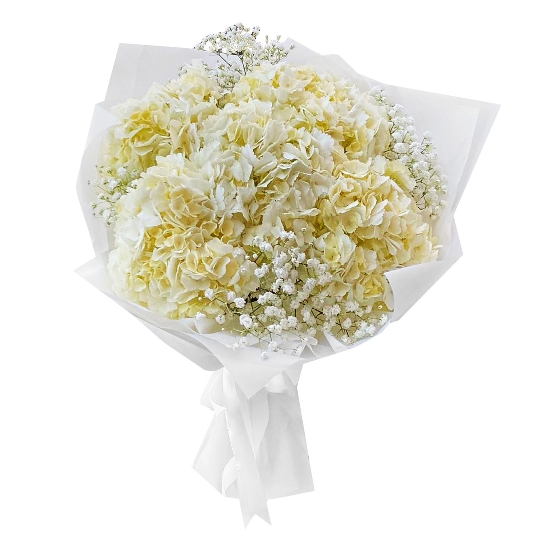 bouquet of white hydrangea 10 with gypsophile white