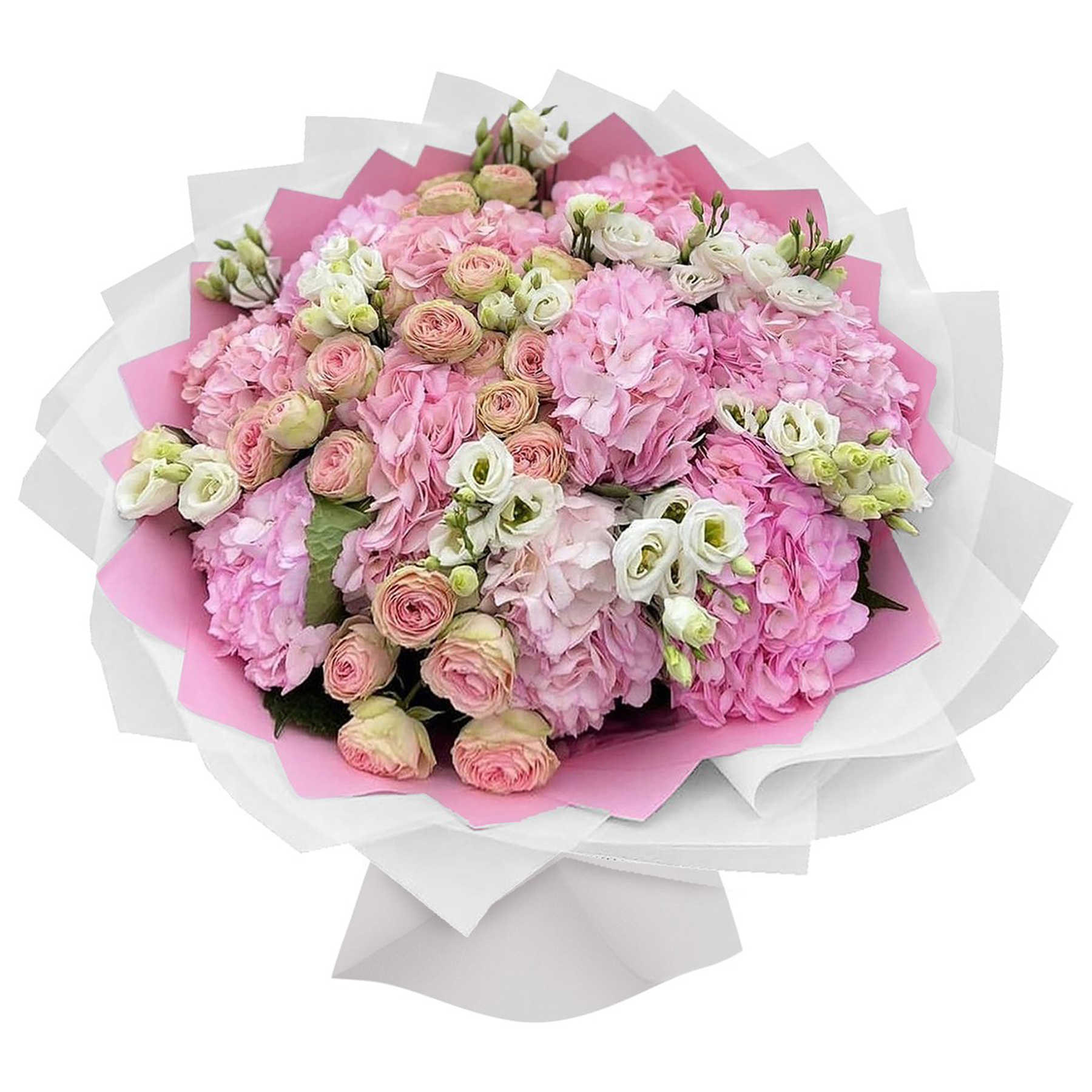 pink hydrangea 15 with white astoma 20 with roses double pink